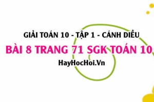 Giải bài 8 trang 71 Toán 10 Tập 1 SGK Cánh Diều